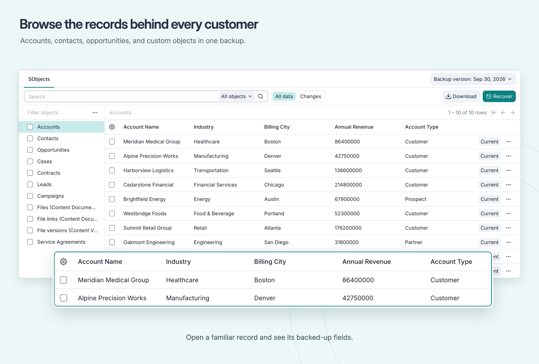 Afi Salesforce backup browser showing Accounts, object selection, backup version and recovery action.